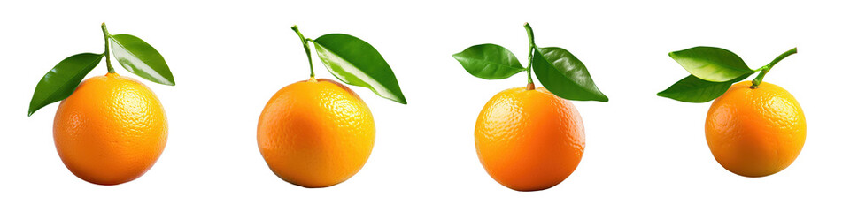 Canvas Print - Clementine against transparent background