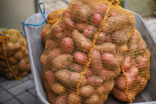 Large Sacks Of Potatoes In A Wheelbarrow