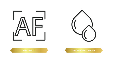 Poster - two editable outline icons from user interface concept. thin line icons such as auto focus, big and 