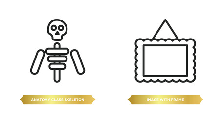 Poster - two editable outline icons from user interface concept. thin line icons such as anatomy class skelet