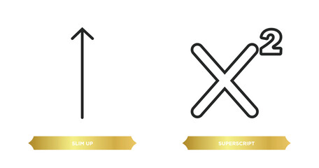 Poster - two editable outline icons from user interface concept. thin line icons such as slim up, superscript vector.
