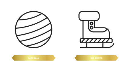 Poster - two editable outline icons from sports concept. thin line icons such as gym ball, ski boots vector.