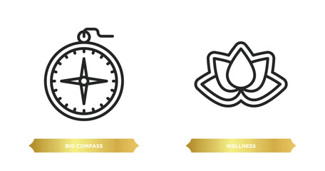 Poster - two editable outline icons from people skills concept. thin line icons such as big compass, wellness