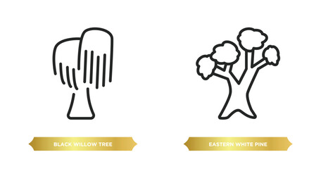 Poster - two editable outline icons from nature concept. thin line icons such as black willow tree, eastern white pine tree vector.
