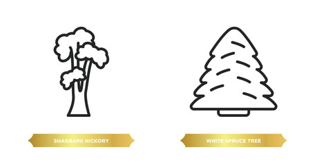 Poster - two editable outline icons from nature concept. thin line icons such as shagbark hickory tree, white spruce tree vector.