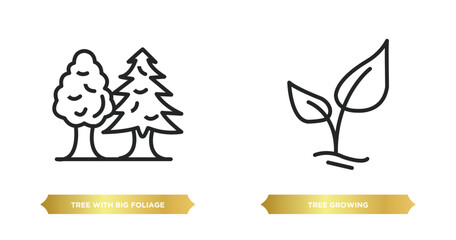 Poster - two editable outline icons from nature concept. thin line icons such as tree with big foliage, tree growing vector.