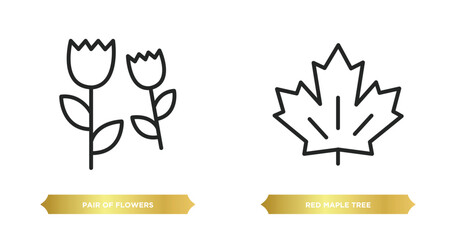 Poster - two editable outline icons from nature concept. thin line icons such as pair of flowers, red maple tree vector.