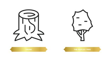 Poster - two editable outline icons from nature concept. thin line icons such as trunk, the maples tree vector.