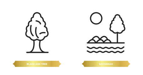 Poster - two editable outline icons from nature concept. thin line icons such as black ash tree, savannah vector.