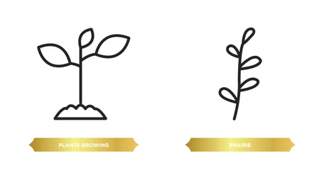 Poster - two editable outline icons from nature concept. thin line icons such as plants growing, prairie vector.