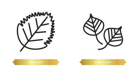 Poster - two editable outline icons from nature concept. thin line icons such as birch leaf, poplar leaf vector.