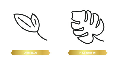 Poster - two editable outline icons from nature concept. thin line icons such as lanceolate, philodendron vector.