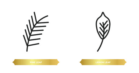 Wall Mural - two editable outline icons from nature concept. thin line icons such as pine leaf, lemon leaf vector