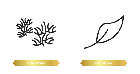 Poster - two editable outline icons from nature concept. thin line icons such as escuamiforme, orange leaf vector.