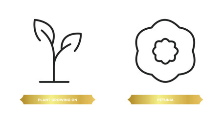 Poster - two editable outline icons from nature concept. thin line icons such as plant growing on book, petunia vector.