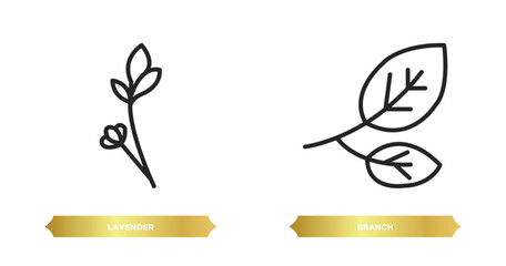 Poster - two editable outline icons from nature concept. thin line icons such as lavender, branch vector.