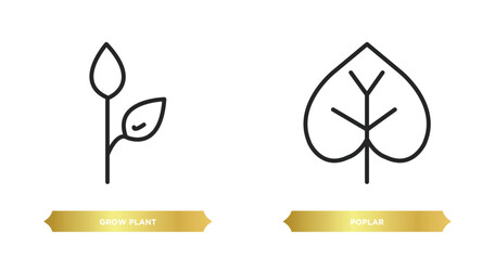 Poster - two editable outline icons from nature concept. thin line icons such as grow plant, poplar vector.