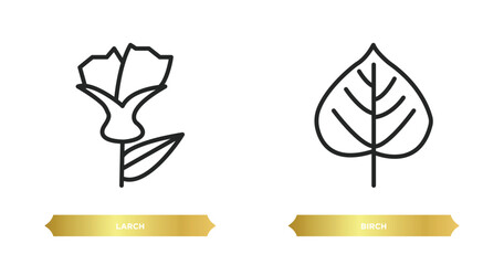 Poster - two editable outline icons from nature concept. thin line icons such as larch, birch vector.