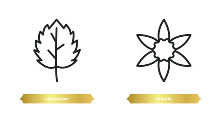 Sticker - two editable outline icons from nature concept. thin line icons such as peppermint, jonquil vector.