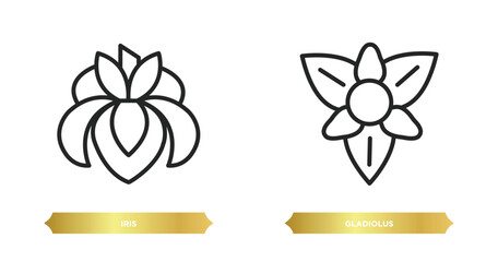 Poster - two editable outline icons from nature concept. thin line icons such as iris, gladiolus vector.