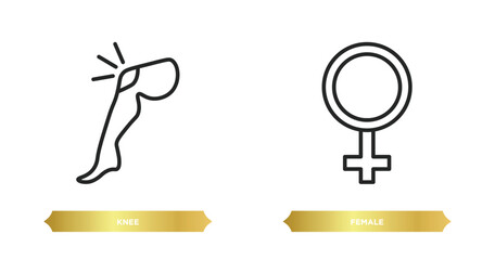 Poster - two editable outline icons from medical concept. thin line icons such as knee, female vector.