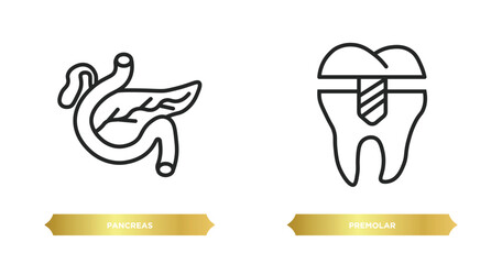 Poster - two editable outline icons from medical concept. thin line icons such as pancreas, premolar vector.