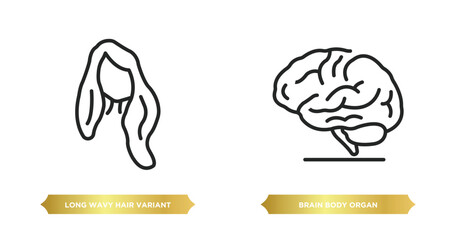 Poster - two editable outline icons from human body parts concept. thin line icons such as long wavy hair variant, brain body organ vector.