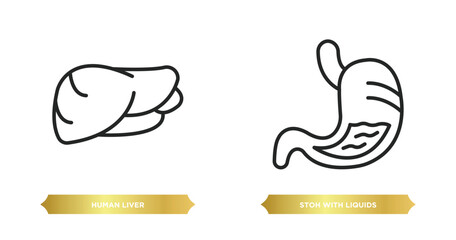 Poster - two editable outline icons from human body parts concept. thin line icons such as human liver, stoh 