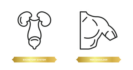 Poster - two editable outline icons from human body parts concept. thin line icons such as excretory system, 