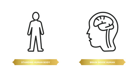 Poster - two editable outline icons from human body parts concept. thin line icons such as standing human body, brain inside human head vector.