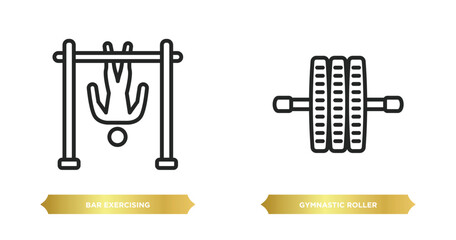 Poster - two editable outline icons from gym and fitness concept. thin line icons such as bar exercising, gymnastic roller vector.