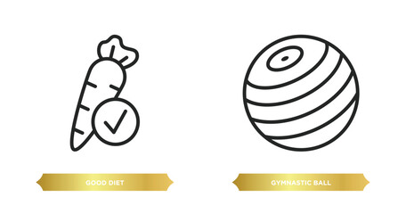 Poster - two editable outline icons from gym and fitness concept. thin line icons such as good diet, gymnastic ball vector.