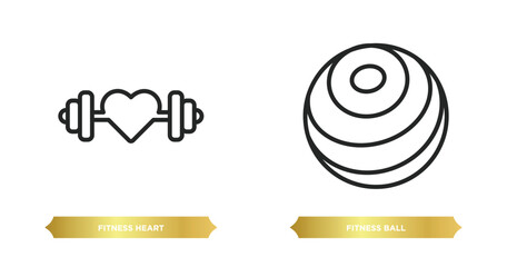 Poster - two editable outline icons from gym and fitness concept. thin line icons such as fitness heart, fitness ball vector.