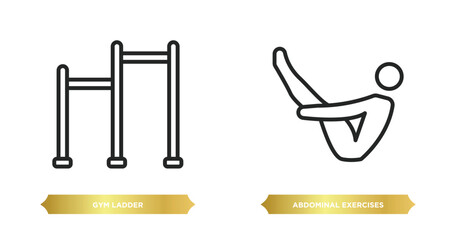 Poster - two editable outline icons from gym and fitness concept. thin line icons such as gym ladder, abdominal exercises vector.