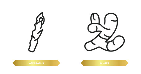 Poster - two editable outline icons from fruits and vegetables concept. thin line icons such as asparagus, ginger vector.