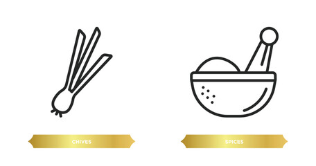 two editable outline icons from food concept. thin line icons such as chives, spices vector.