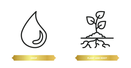 Poster - two editable outline icons from ecology concept. thin line icons such as drop, plant and root vector.