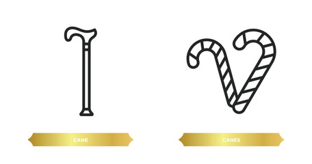 Poster - two editable outline icons from brazilia concept. thin line icons such as cane, canes vector.