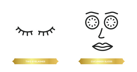 Poster - two editable outline icons from beauty concept. thin line icons such as two eyelashes, cucumber slices on face vector.