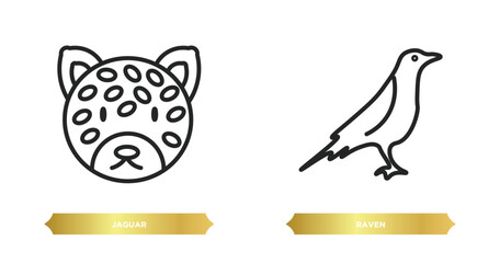 Wall Mural - two editable outline icons from animals concept. thin line icons such as jaguar, raven vector.