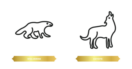 Poster - two editable outline icons from animals concept. thin line icons such as wolverine, coyote vector.