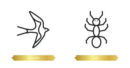Poster - two editable outline icons from animals concept. thin line icons such as swallow, ant vector.