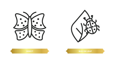 Poster - two editable outline icons from animals concept. thin line icons such as insect, bug on leaf vector.