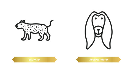 Poster - two editable outline icons from animals concept. thin line icons such as leopard, afghan hound vector.