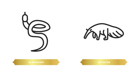 Poster - two editable outline icons from animals concept. thin line icons such as blindworm, anteater vector.