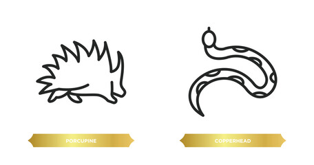 Poster - two editable outline icons from animals concept. thin line icons such as porcupine, copperhead vector.