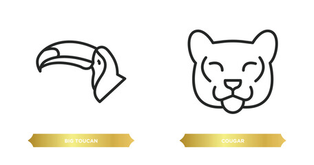 Poster - two editable outline icons from animals concept. thin line icons such as big toucan, cougar vector.