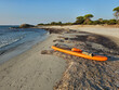 SUP board on a sandy beach in Biderosa Reserve, Sardinia, Italy
