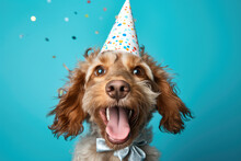 Lively Dog Wearing Festive Party Hat With Its Mouth Open. Perfect For Celebrations And Joyous Occasions.