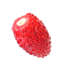 One ripe wild strawberry isolated on white